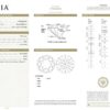 Loose Natural Round Brilliant Diamond 1.03ct I VS2 No Flo GIA Cert, view 3
