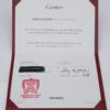 Cartier Diamond Halo Destinée Necklace Platinum Pendant 16.5" Card Pouch, view 8