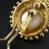 Elizabeth Locke Mabe Pearl Button Earrings 18k Yellow Gold Dot Halo, view 6