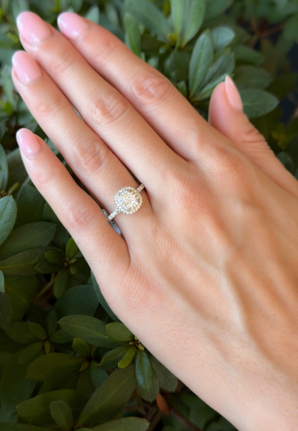 Tiffany & Co. Soleste Diamond Halo Ring Platinum Size 7.5 1 ctw Cushion shown worn