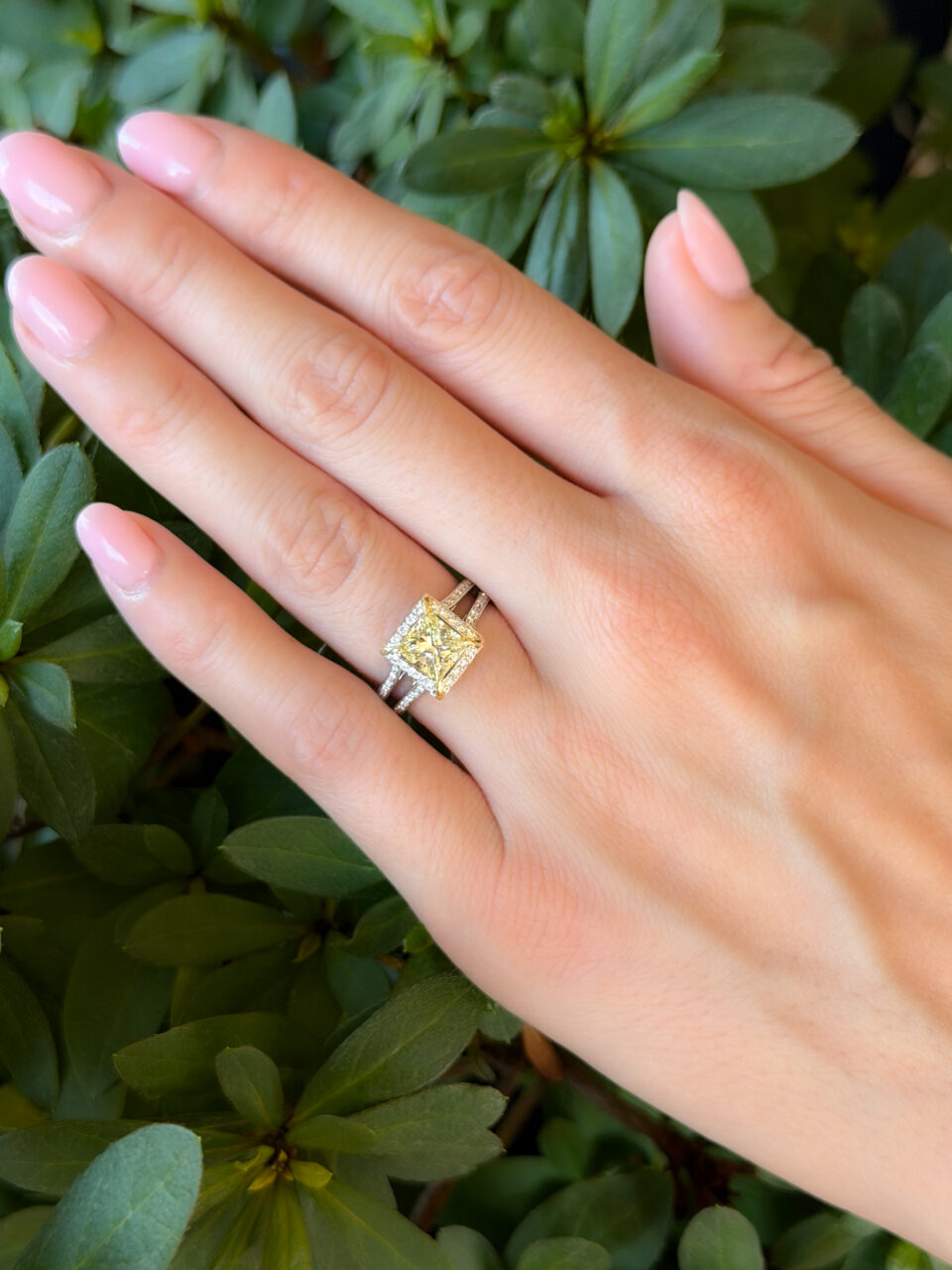 FiKai Platinum 1.2ct Diamond Engagement Ring VS1 18k Gold Sz 6 GIA shown worn