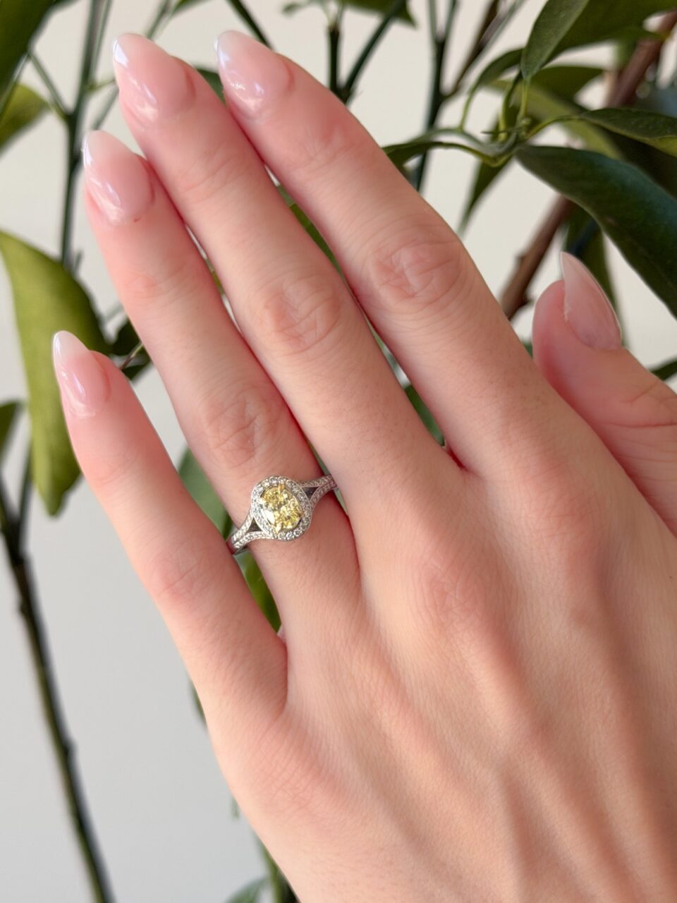 GIA Natural Fancy Intense Yellow Diamond Platinum Halo Ring 1ctw Size 7.5 shown worn