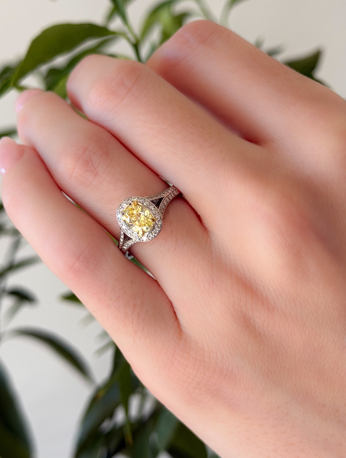 GIA Natural Fancy Intense Yellow Diamond Platinum Halo Ring 1ctw Size 7.5 shown worn, view 3