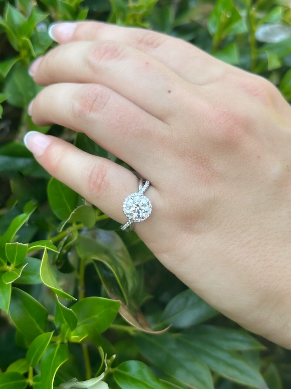David Yurman Lanai Diamond Halo Engagement Ring Platinum 1.5ct F VS1 GIA shown worn